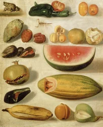 Natura morta con frutta (con scorpione e rana)